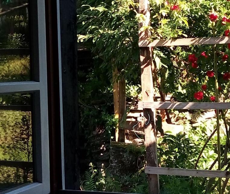 Haus Am Oberen Muehlenberg Mit Gartennutzung Monschau Exteriér fotografie